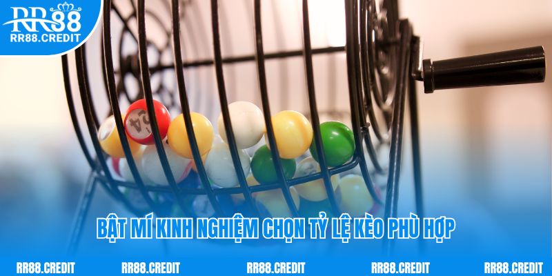 Bật mí kinh nghiệm chọn tỷ lệ kèo phù hợp tại RR88